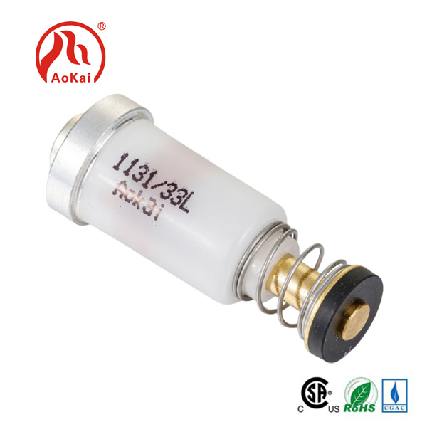 I-Gas Solenoid Magnetic Valve yesixhobo soKhuseleko se-Flameout