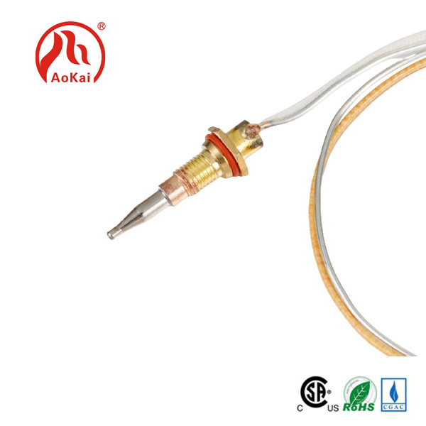 Isidibanisi se-Thermocouple yegesi kunye nePlug In